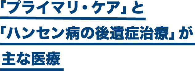 「プライマリ・ケア」と「ハンセン病の後遺症治療」が主な医療